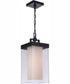 Hayner 1-Light Outdoor Pendant Midnight
