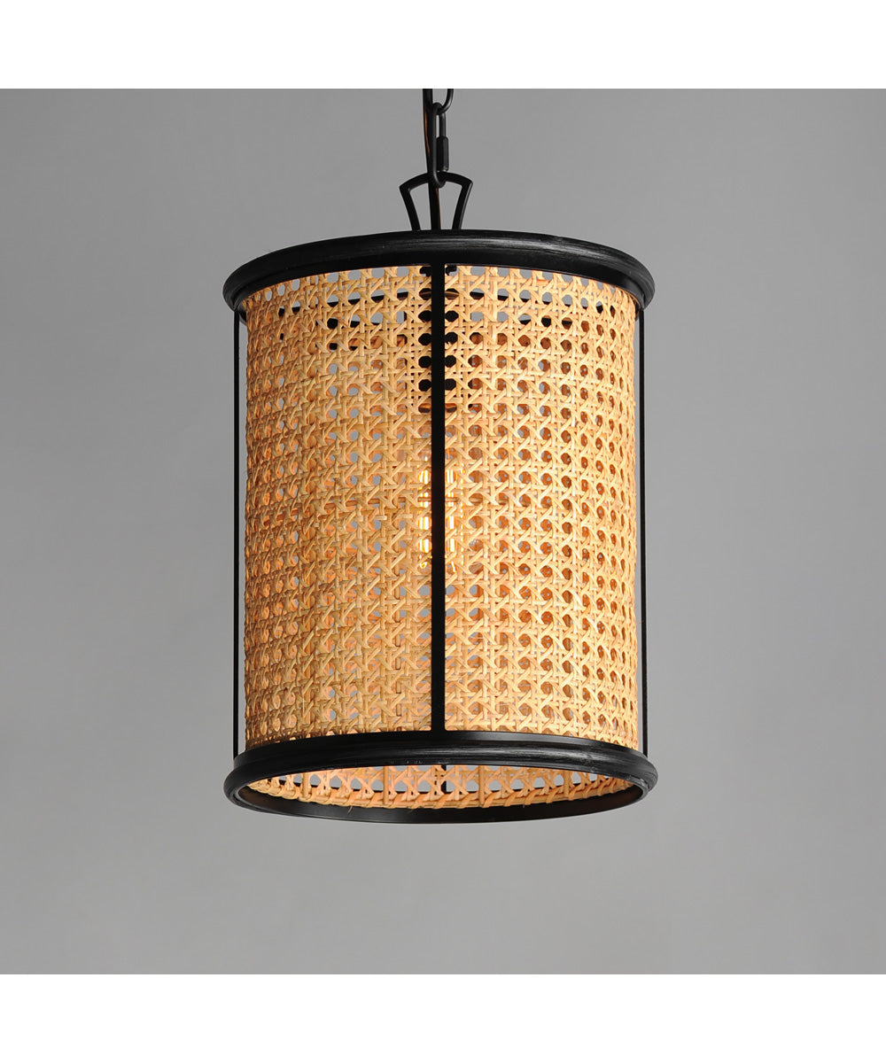Cane 1-Light Pendant Black