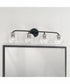 Dolan 4-Light Vanity Matte Black
