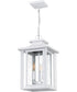 Wakefield 3-light Outdoor Pendant Light  Coastal Armour White Lustre