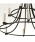 Olympus 12-light Chandelier Textured Black