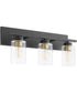 Carter 3-light Bath Vanity Light Matte Black
