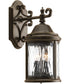 Ashmore 2-Light Wall Lantern Antique Bronze