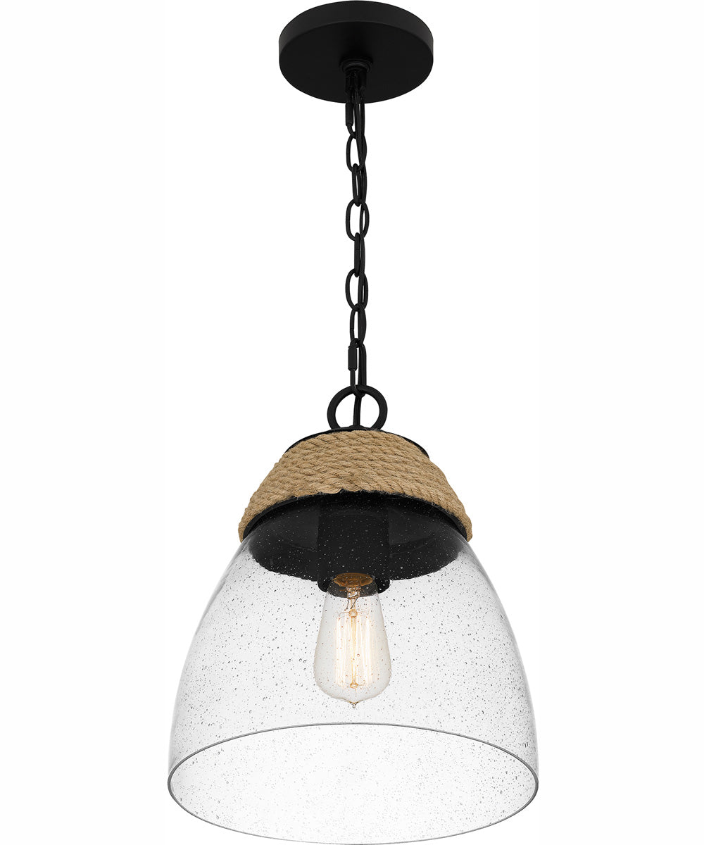 Quoizel Piccolo Pendant 1-light Mini Pendant Matte Black