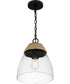 Quoizel Piccolo Pendant 1-light Mini Pendant Matte Black
