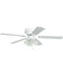 Ceiling Fans and Accessories
