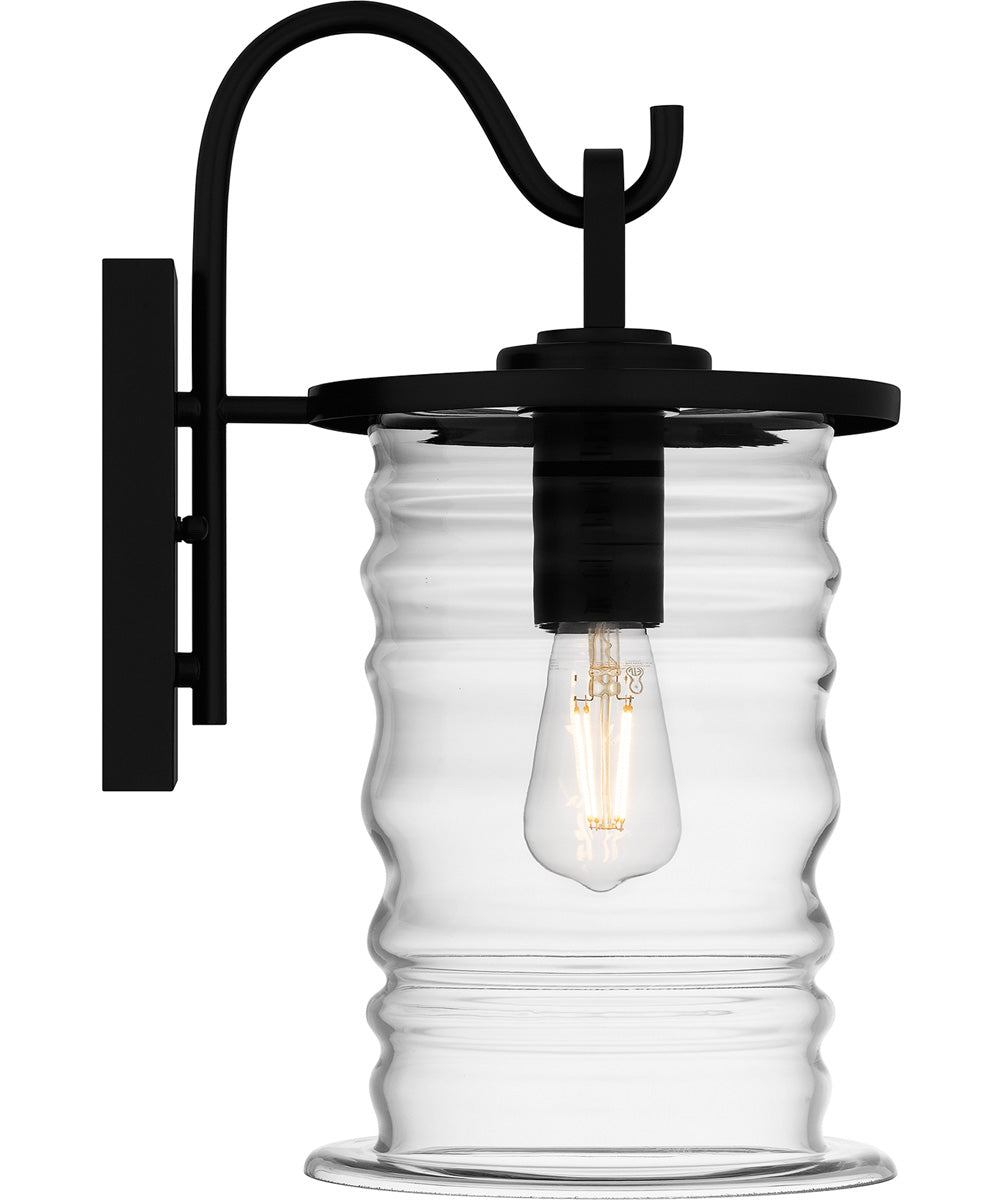 Noland Medium 1-light Outdoor Wall Light  Coastal Armour Aluminum Matte Black