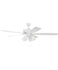 Ceiling Fans and Accessories