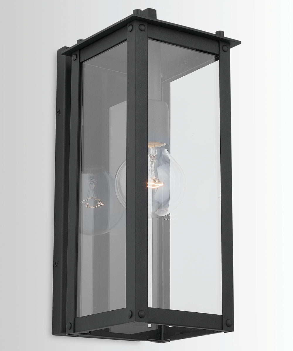 Hunt 1-Light Outdoor Wall Mount Rain or Shine - Black with Clear Glass