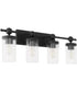 Tamara Day's Lee Boulevard 4-light Bath Vanity Light Matte Black