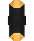 Chasm Medium Outdoor Wall Light  Gold Coastal Armour Aluminum Matte Black