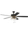 Ceiling Fans and Accessories