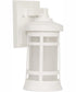 Resilience Lanterns 1-Light Outdoor Wall Lantern Matte White
