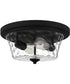 Acacia 2-light Flush Mount Matte Black