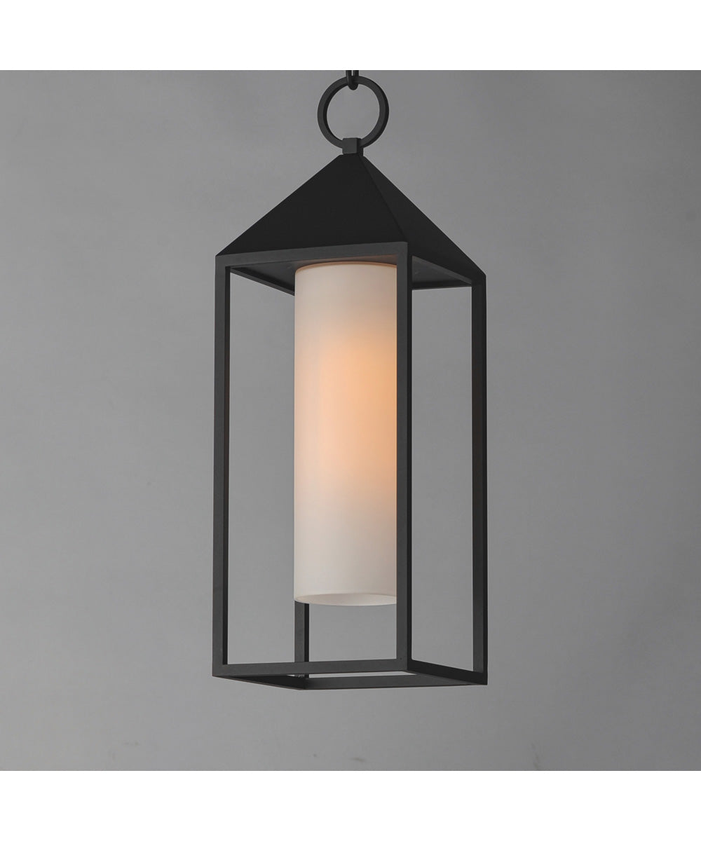 Aldous 1-Light Outdoor Pendant Black
