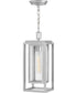1-Light Medium Hanging Lantern in Satin Nickel