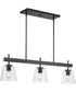 Saffert 3-Light New Traditional Clear Glass Linear Island Chandelier Light Matte Black