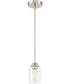 Chicago 1-Light Mini Pendant Brushed Polished Nickel