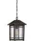 Cedar Point Large 1-light Outdoor Pendant Light Palladian Bronze