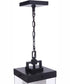 Hayner 1-Light Outdoor Pendant Midnight
