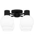 Quoizel Semi-Flush Mount Large 4-light Semi Flush Mount Matte Black