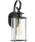 Squire 1-Light Small Wall Lantern Matte Black