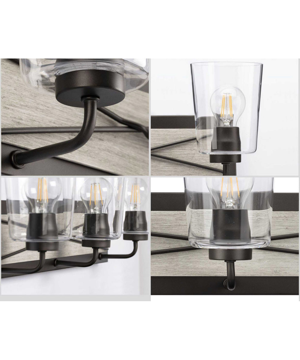 Briarwood 3-Light Clear Glass Coastal Bath Vanity Light Graphite