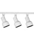 Alpha Trak 3-Light Flair Track Kit White