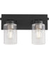 Carter 2-light Bath Vanity Light Matte Black