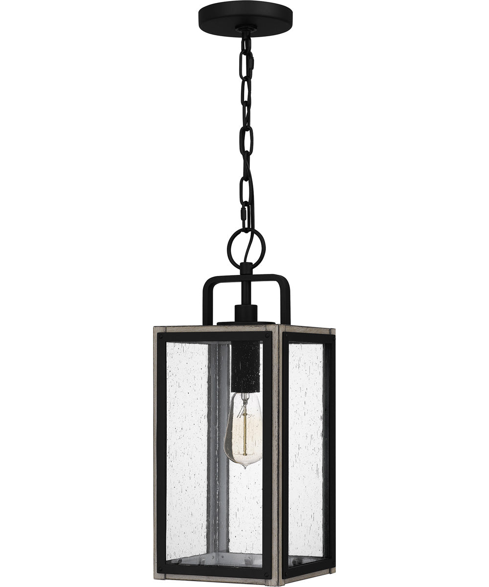 Bramshaw Large 1-light Outdoor Pendant Light  Coastal Armour Aluminum Matte Black
