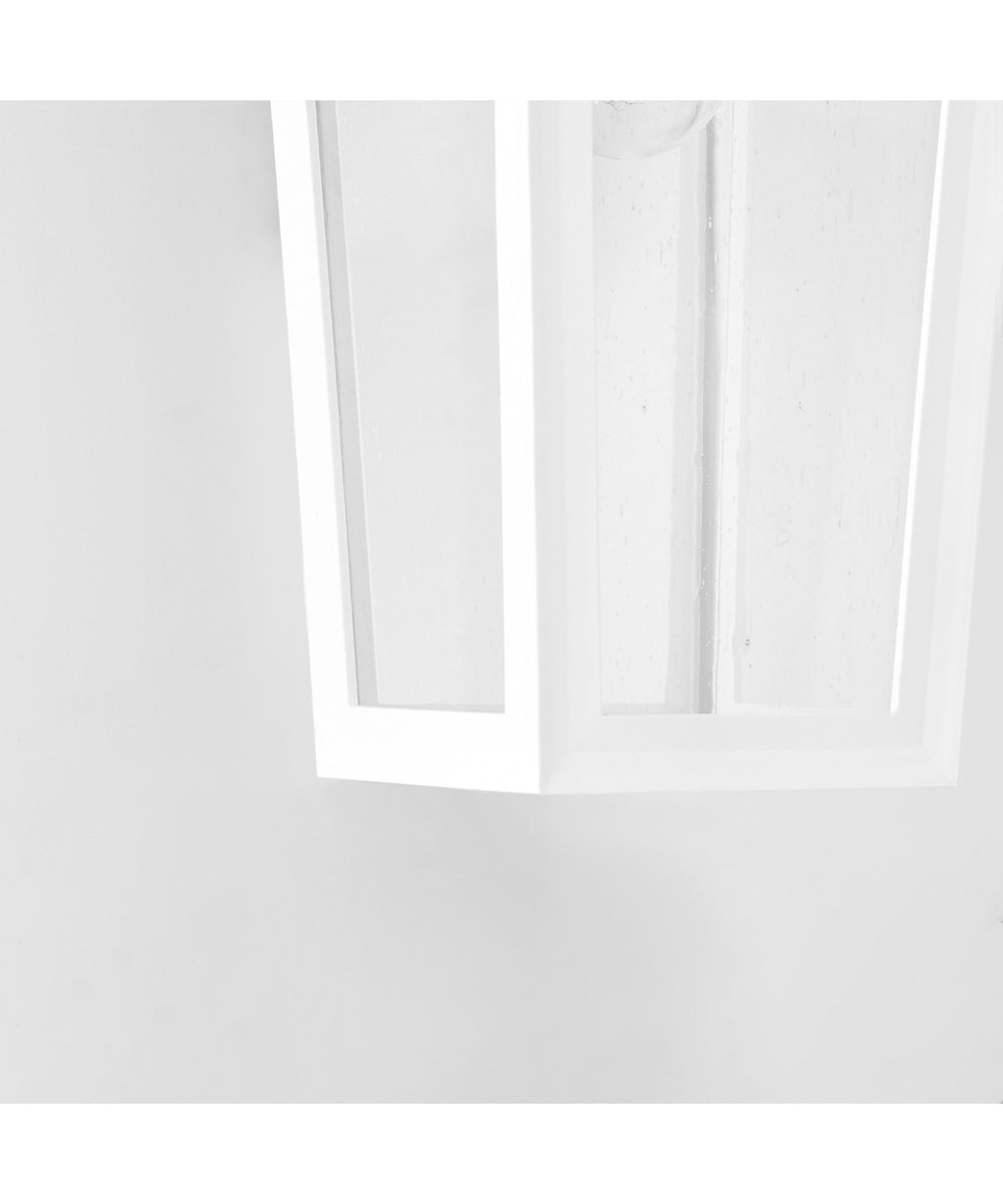 Bravo 1-light Wall Mount Light Fixture White