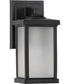 Trafford Non-Metallic Lantern  1-Light Frosted Shade Traditional Outdoor Wall Lantern Light Textured Black