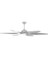 66" Zoom 1-Light Indoor/Outdoor Specialty Ceiling Fan (Blades Included) Titanium