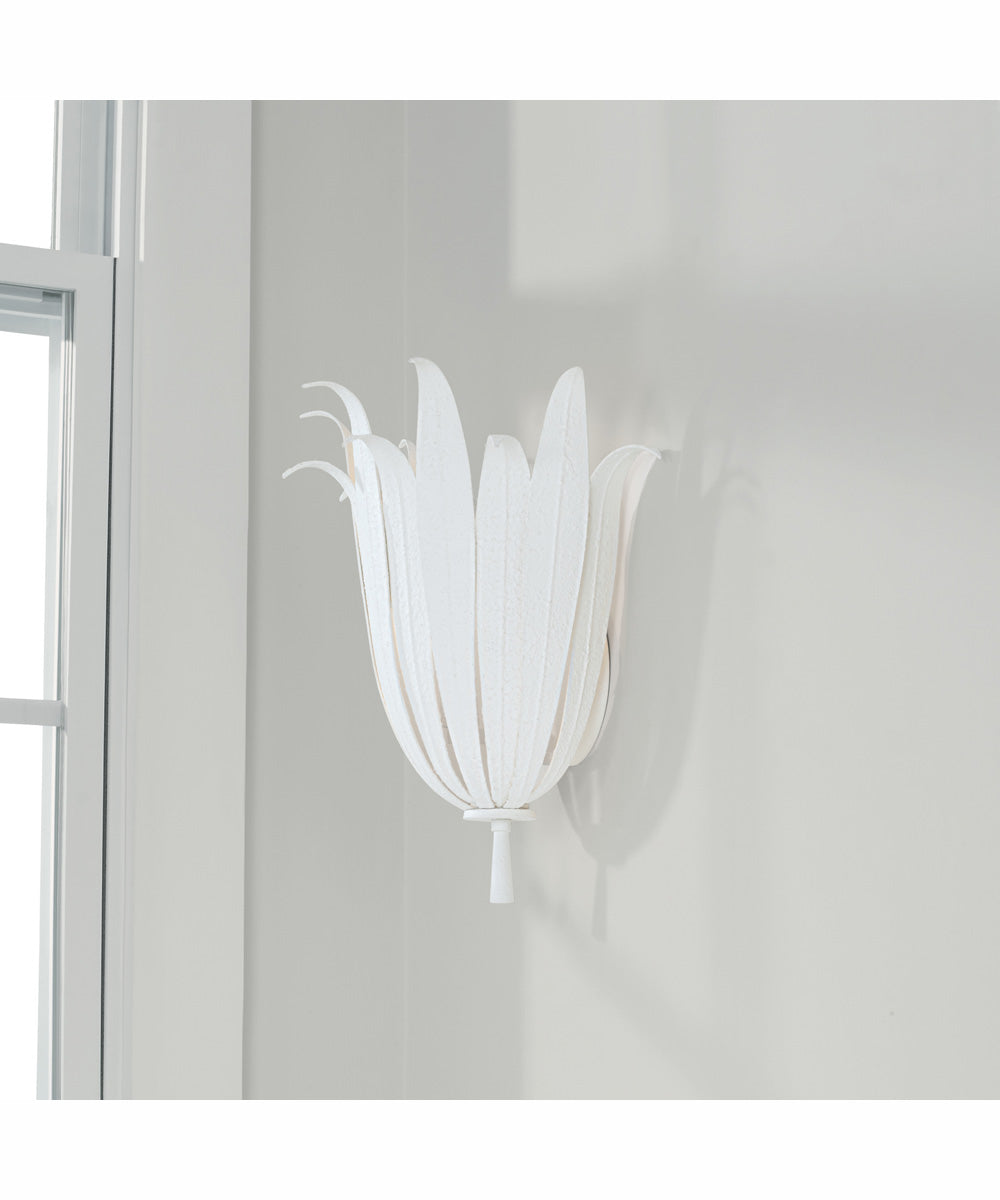 Eden 1-Light Sconce Textured White