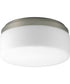 Maier 9" LED Flush Mount Brushed Nickel