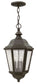 10"W Edgewater 3-Light Outdoor Hanging Light in Oil Rubbed Bronze
