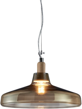 16"W Dover 1-Light  Pendant Transparent