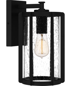 Hazel Medium 1-light Outdoor Wall Light  Coastal Armour Aluminum Earth Black