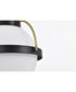 Lakeshore 1-Light Pendant Matte Black