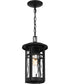 Uma Large 1-light Outdoor Pendant Light Matte Black