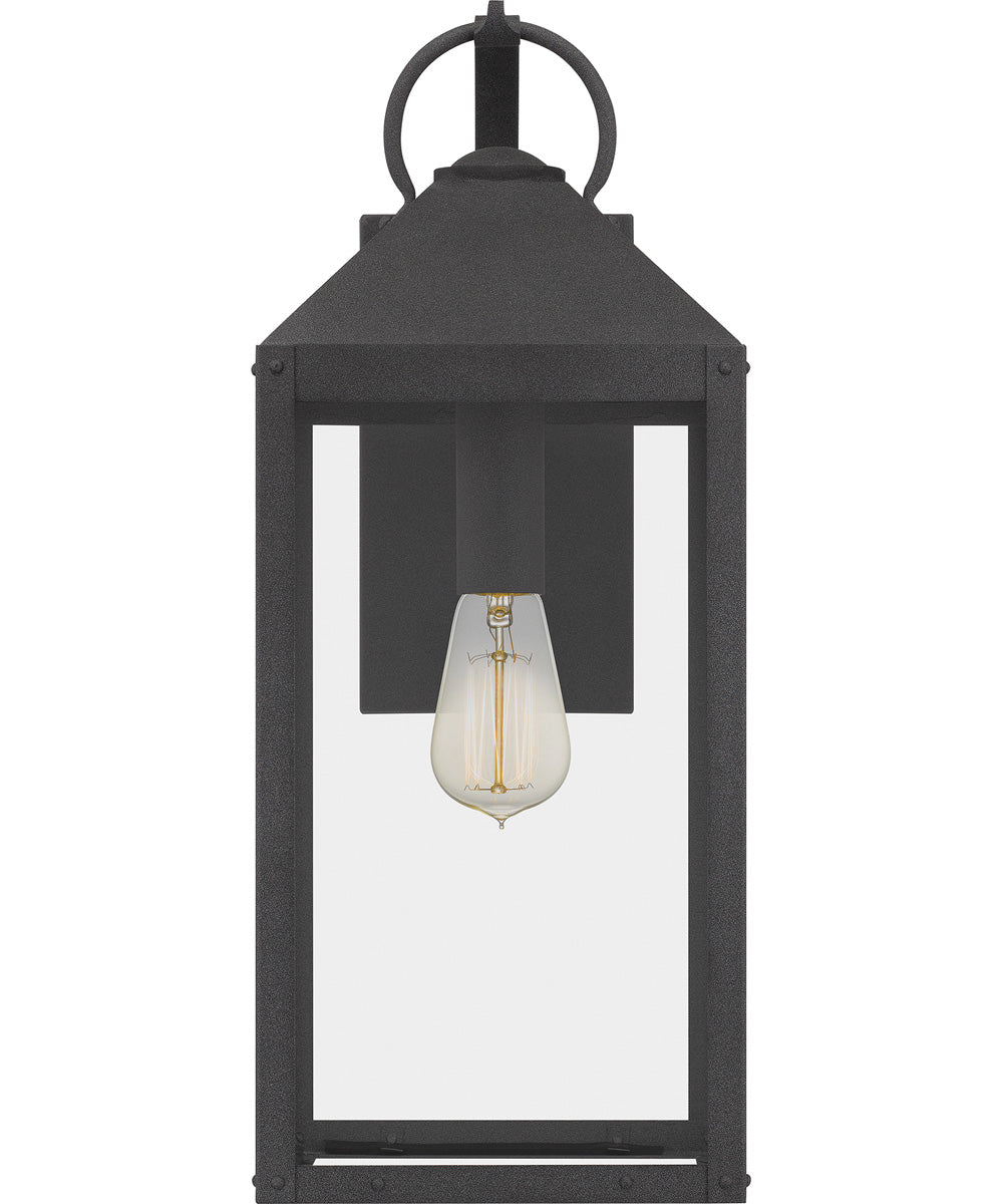 Thorpe Large 1-light Outdoor Wall Light  Coastal Armour Aluminum Mottled Black