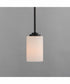 Deven 1-Light Mini Pendant Black