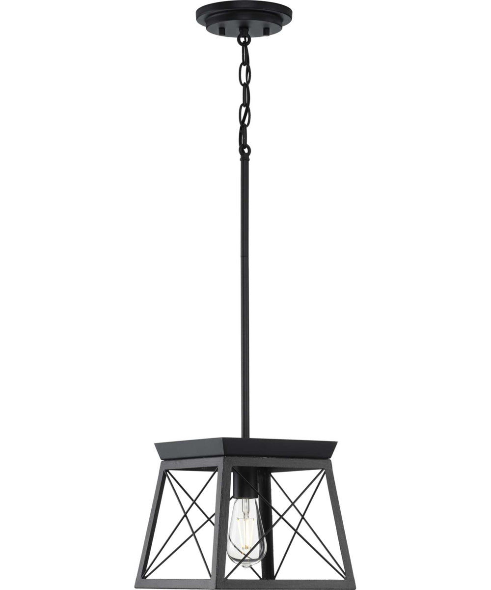 Briarwood 1-Light Textured Cerused Black Farmhouse Style Hanging Mini-Pendant Light Textured Black