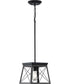 Briarwood 1-Light Textured Cerused Black Farmhouse Style Hanging Mini-Pendant Light Textured Black