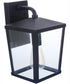 Olsen 1-Light Outdoor Wall Lantern Midnight