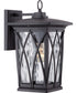 Grover Medium 1-light Outdoor Wall Light Mystic Black