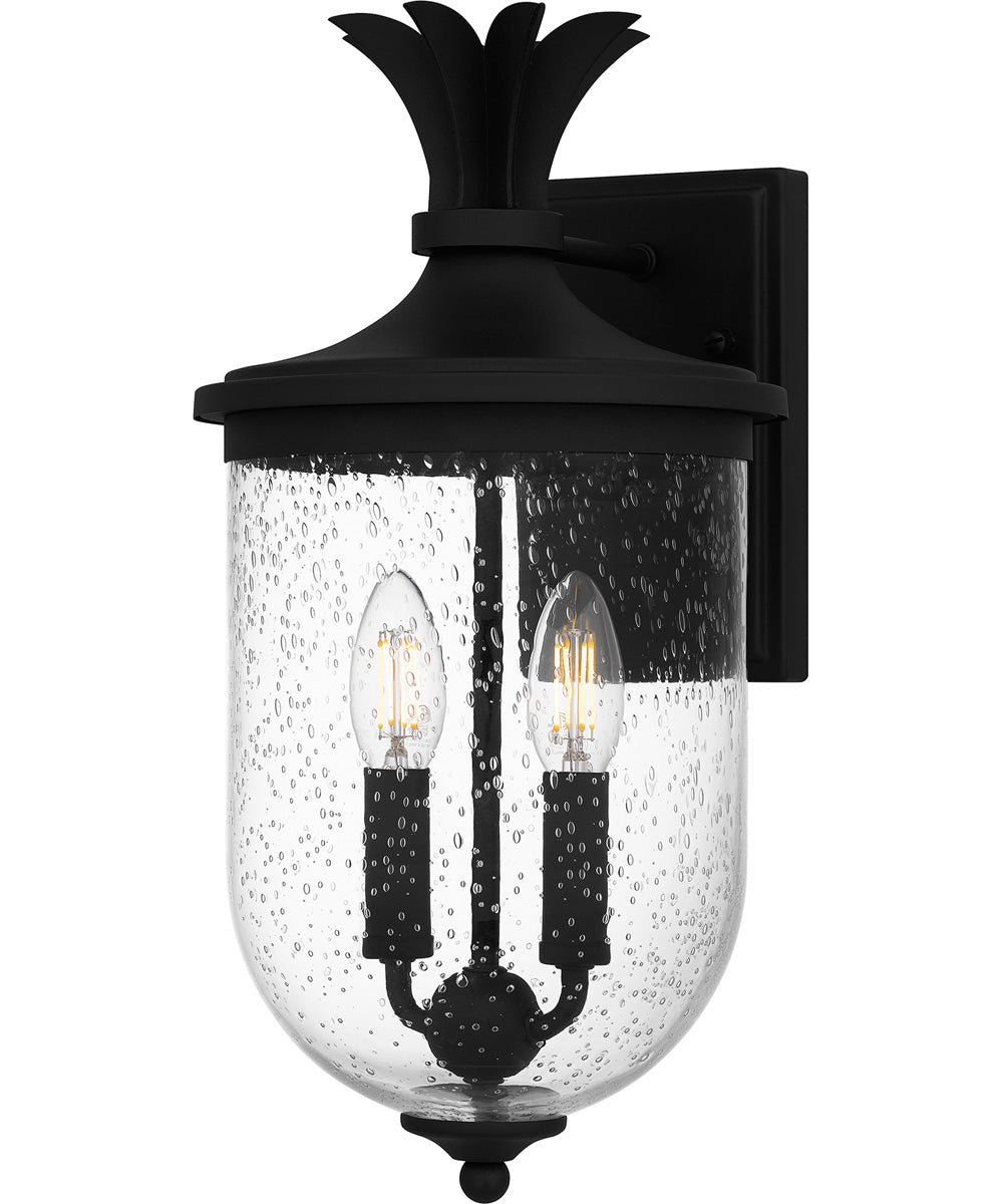 Havana Medium 2-light Outdoor Wall Light Earth Black