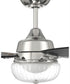 52" Chandler 1-Light Ceiling Fan Polished Nickel