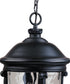 Maxim Camden Vivex 3-Light Outdoor Hanging Lantern Black 41429WGBK