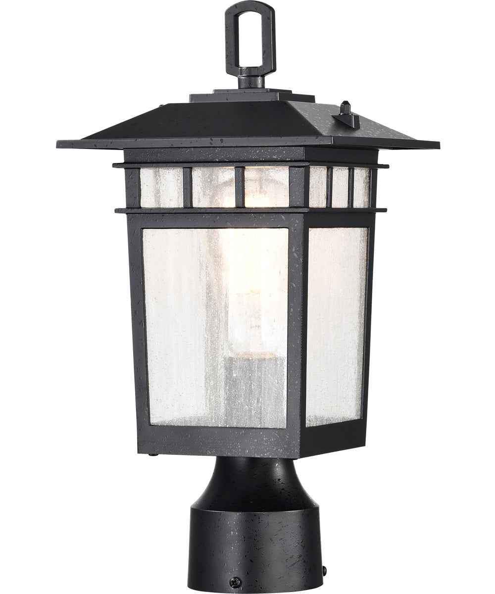 Cove Neck 1-Light Outdoor Textured Black